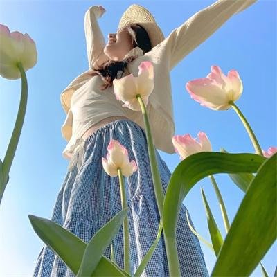 妙探乌龙记